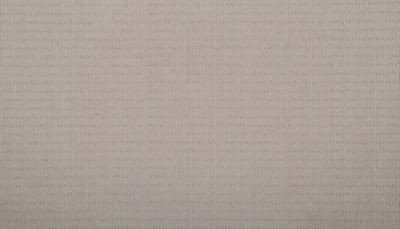 Authentic Elegance carpet by Karastan