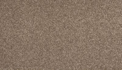 Dynamic Quality II carpet by Mohawk