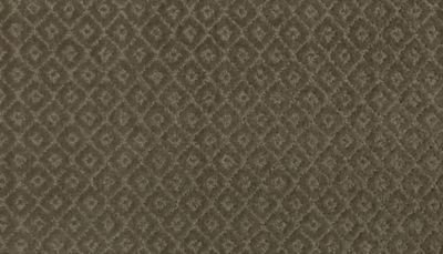 Remarkable Elegance carpet by Mohawk